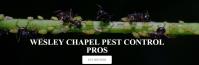 Wesley Chapel Pest Control Pros image 8